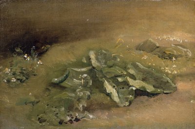 Studio di bardana da John Constable